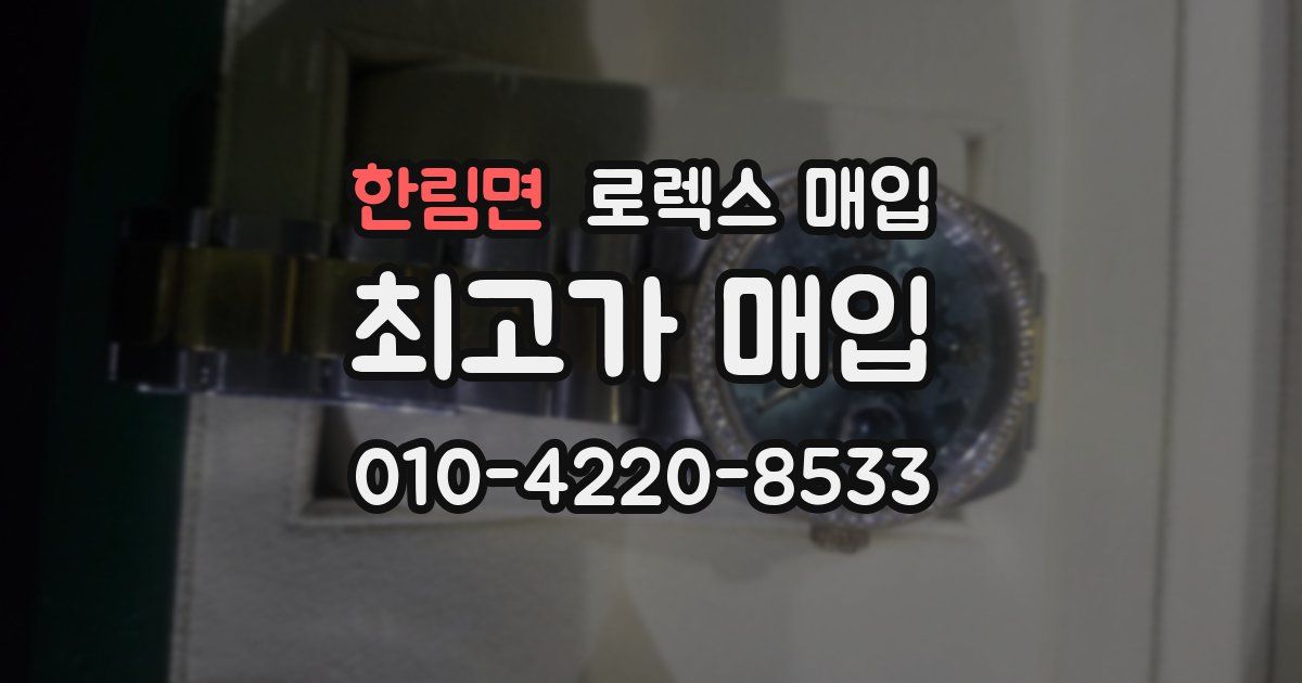 한림면 로렉스 매입