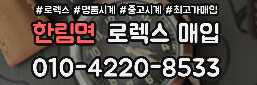 한림면 로렉스 매입