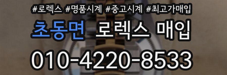 초동면 로렉스 매입