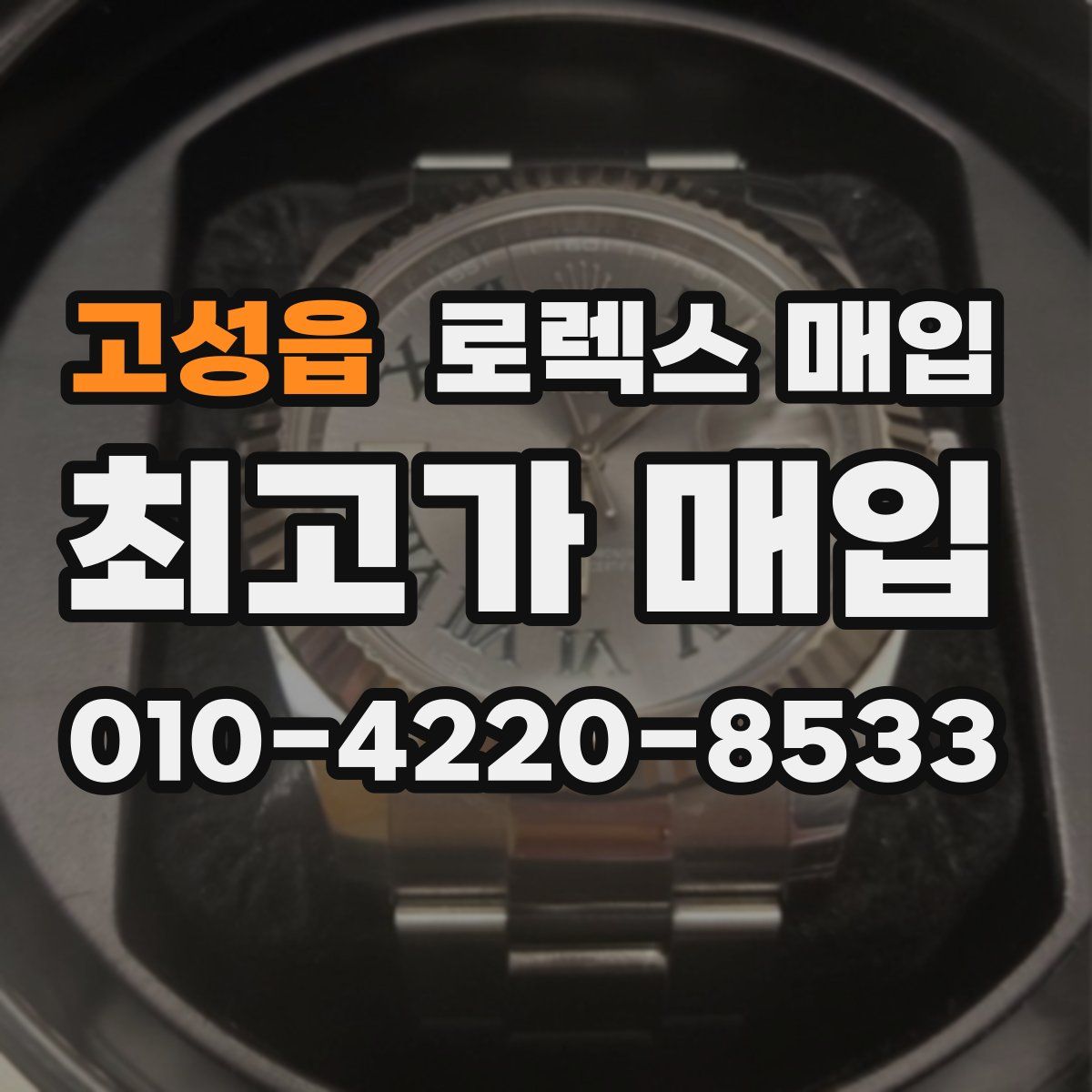 고성읍 로렉스 매입