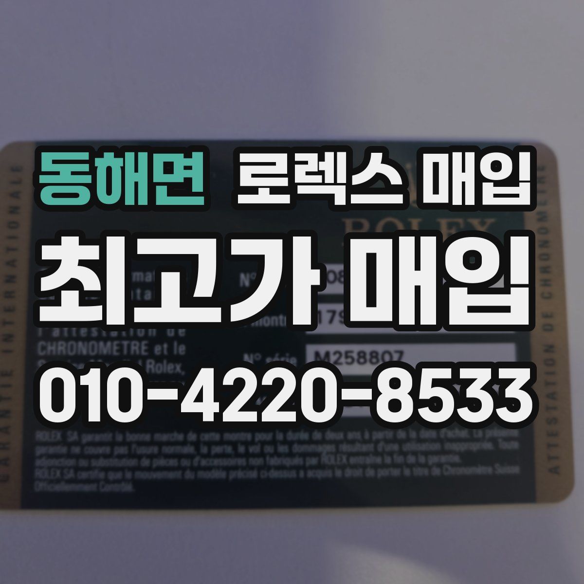 동해면 로렉스 매입