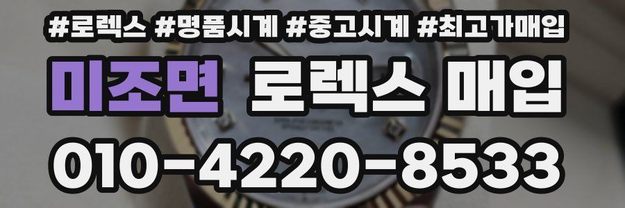미조면 로렉스 매입