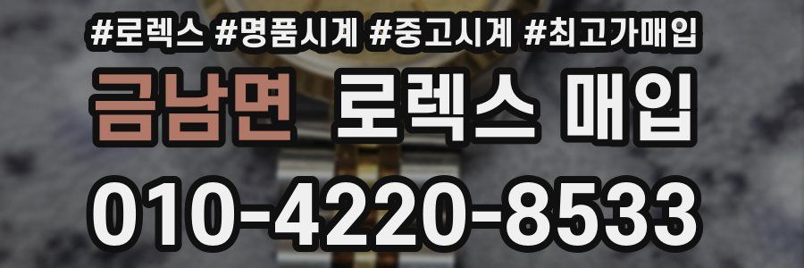 금남면 로렉스 매입