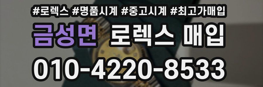 금성면 로렉스 매입