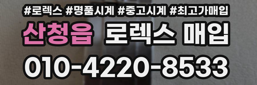 산청읍 로렉스 매입