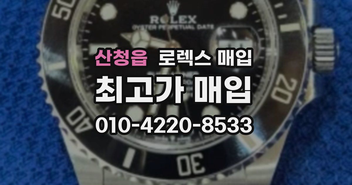 산청읍 로렉스 매입