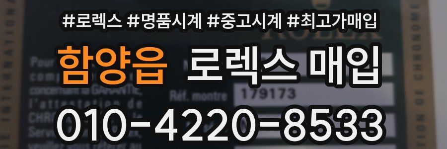 함양읍 로렉스 매입