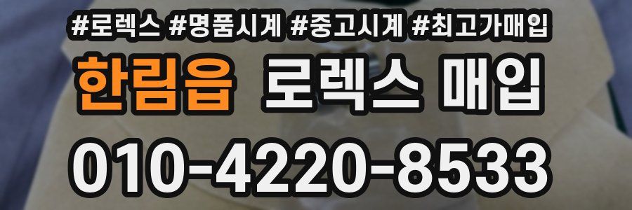 한림읍 로렉스 매입