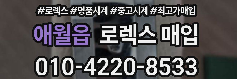 애월읍 로렉스 매입