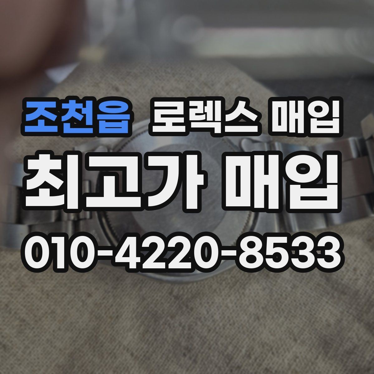 조천읍 로렉스 매입 데이데이 모델 감정 시 핵심 포인트