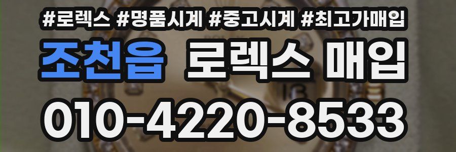 조천읍 로렉스 매입