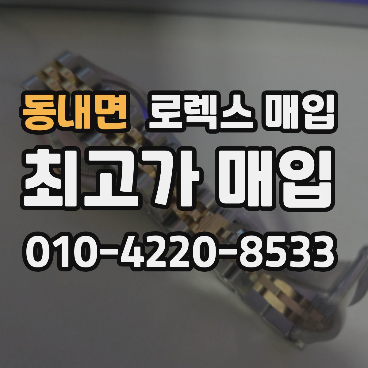 동내면 로렉스 매입