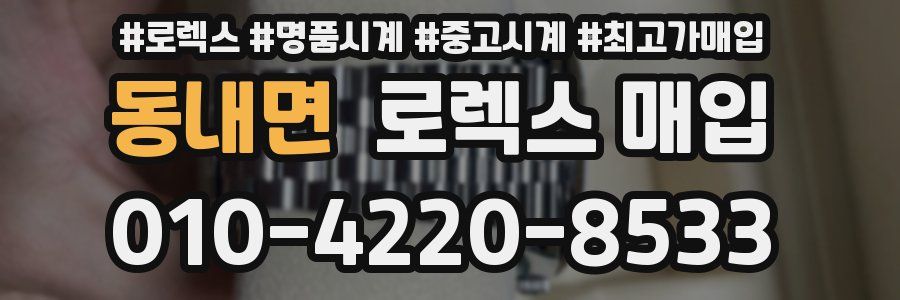 동내면 로렉스 매입