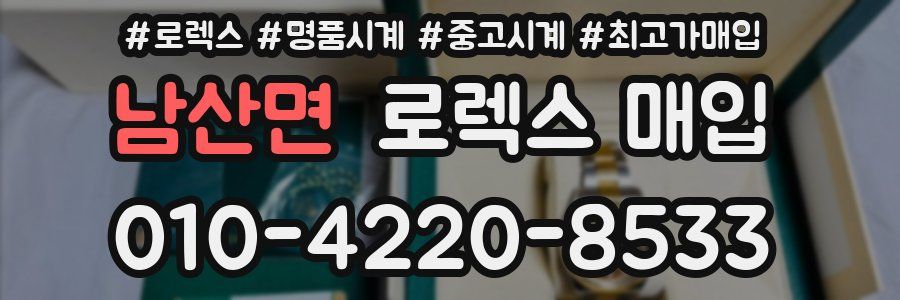 남산면 로렉스 매입