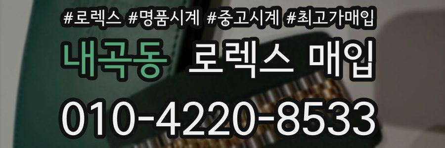 내곡동 로렉스 매입