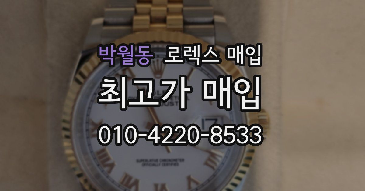 박월동 로렉스 매입
