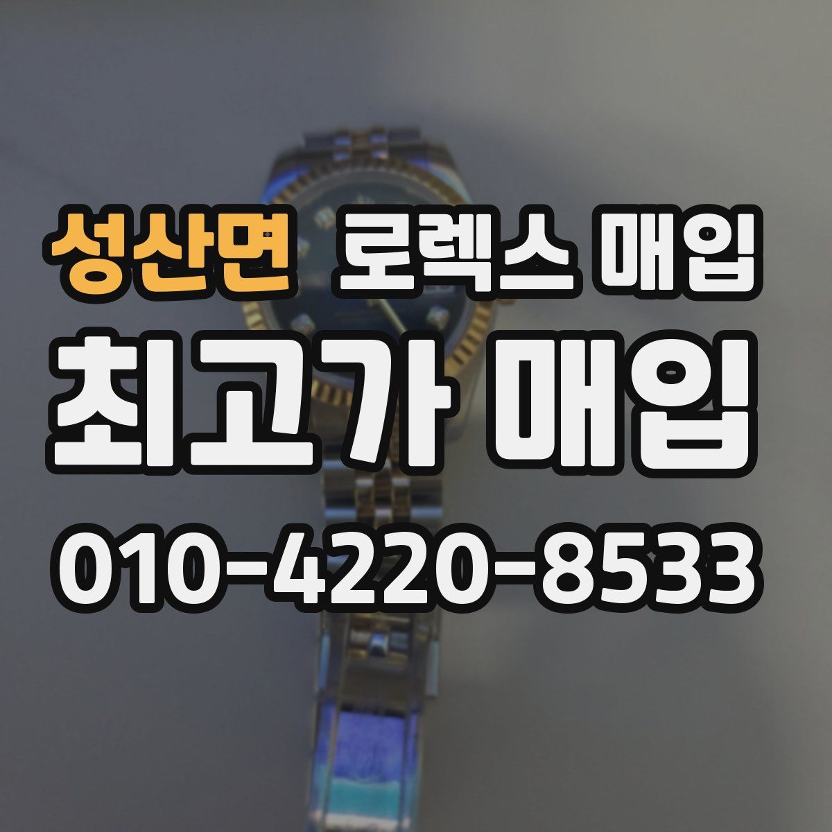 성산면 로렉스 매입