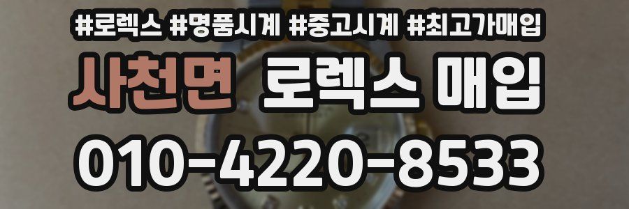 사천면 로렉스 매입