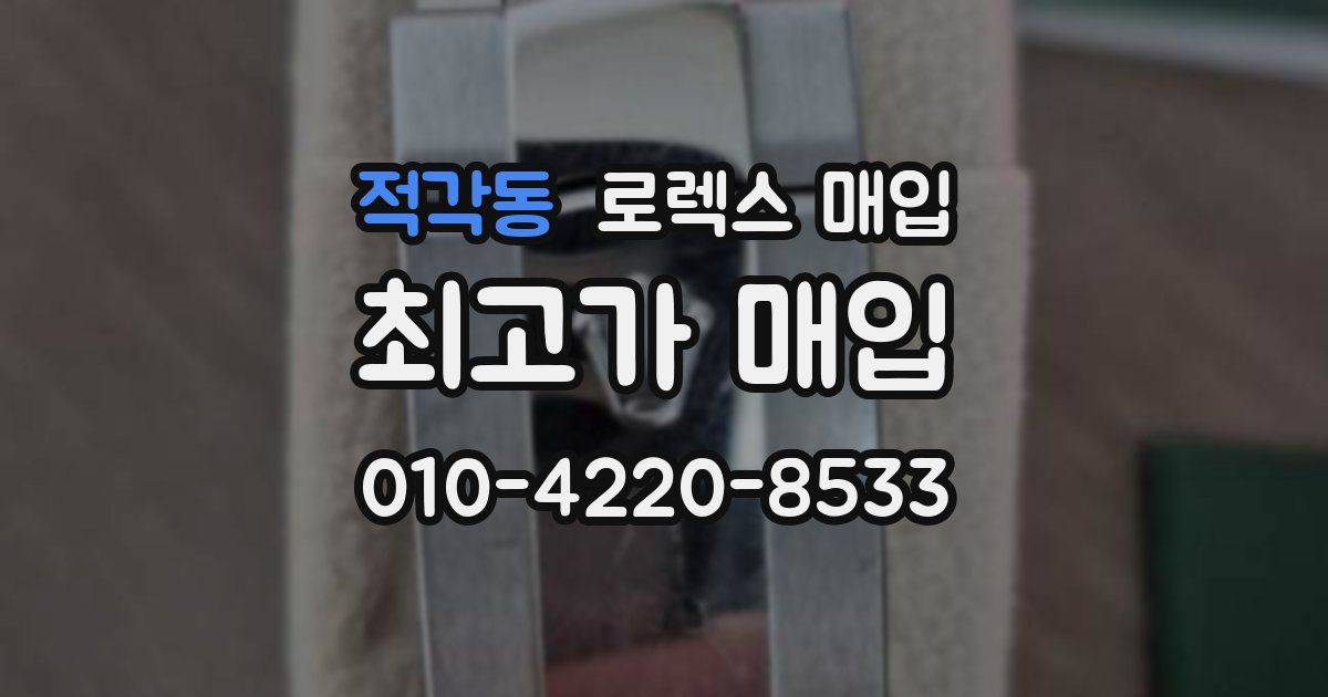 적각동 로렉스 매입