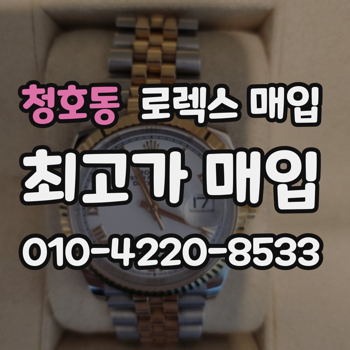 청호동 로렉스 매입