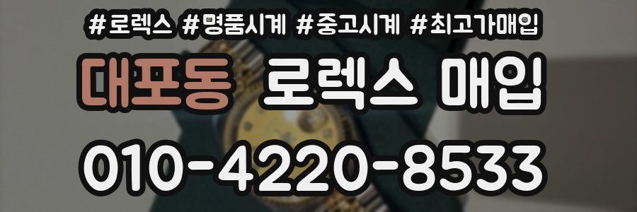 대포동 로렉스 매입