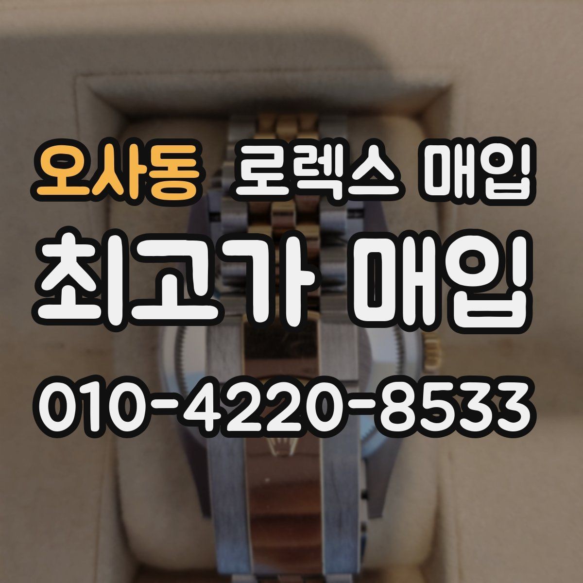 오사동 로렉스 매입 보관 중인 시계 정리할 때 체크 포인트