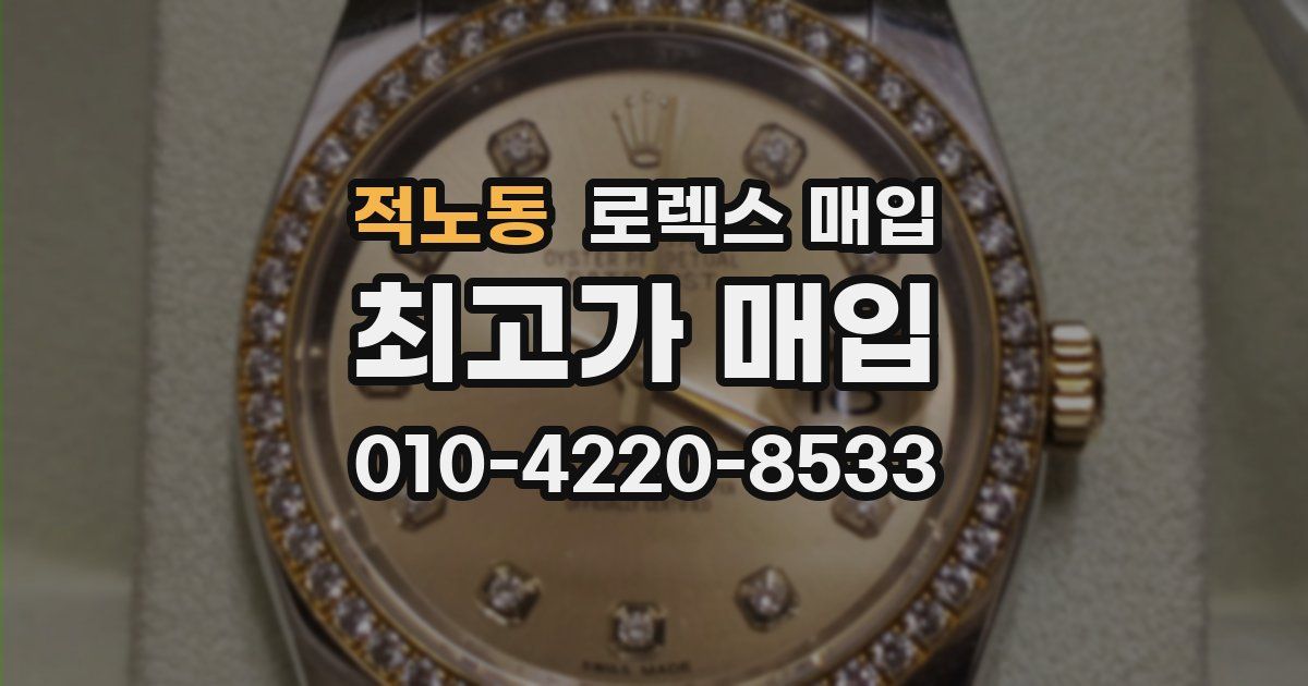 적노동 로렉스 매입