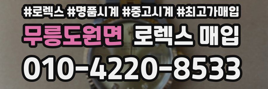 무릉도원면 로렉스 매입