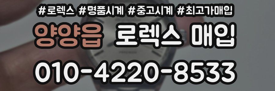 양양읍 로렉스 매입