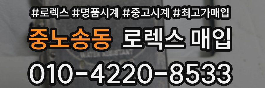 중노송동 로렉스 매입