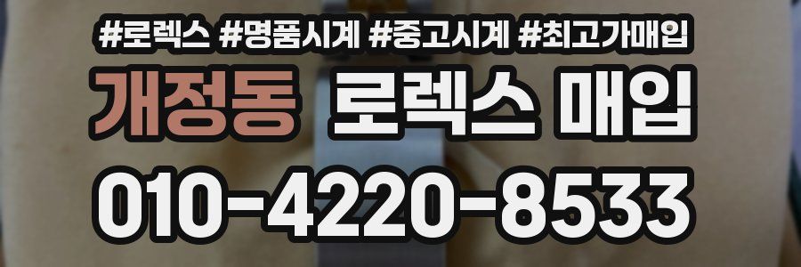 개정동 로렉스 매입