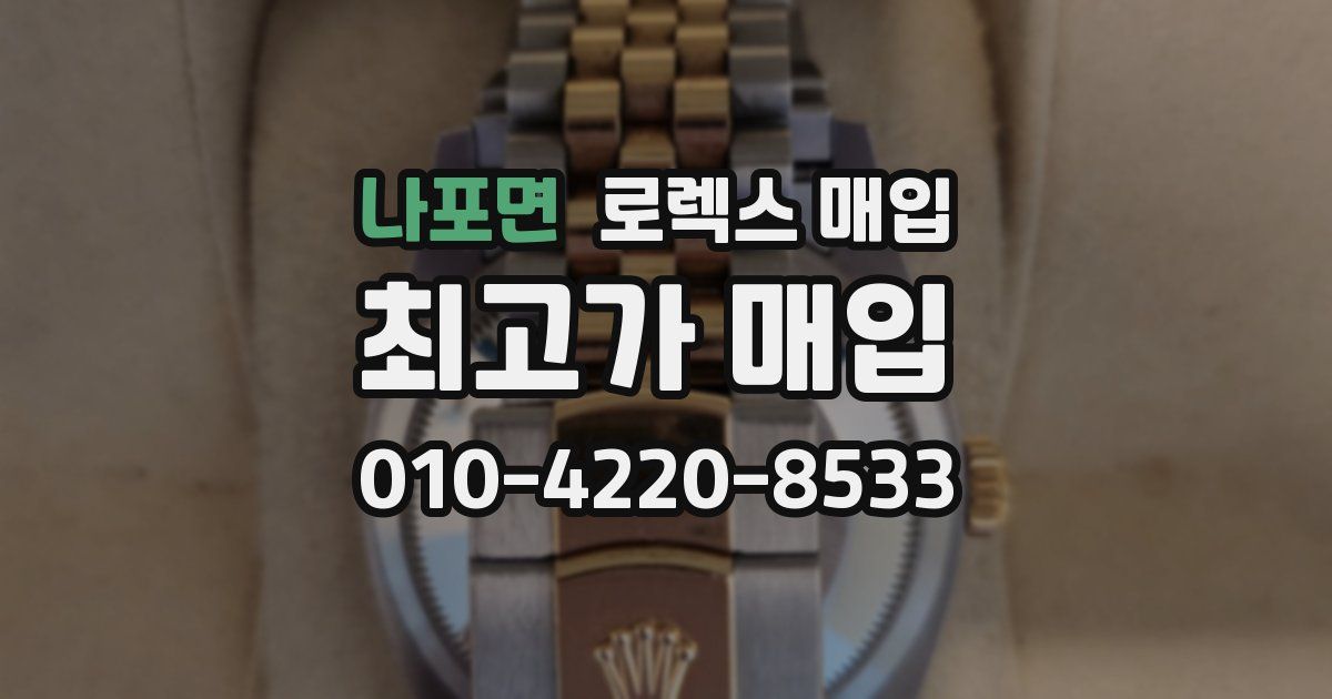 나포면 로렉스 매입