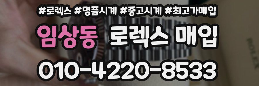 임상동 로렉스 매입