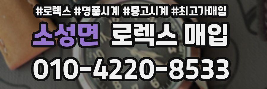 소성면 로렉스 매입