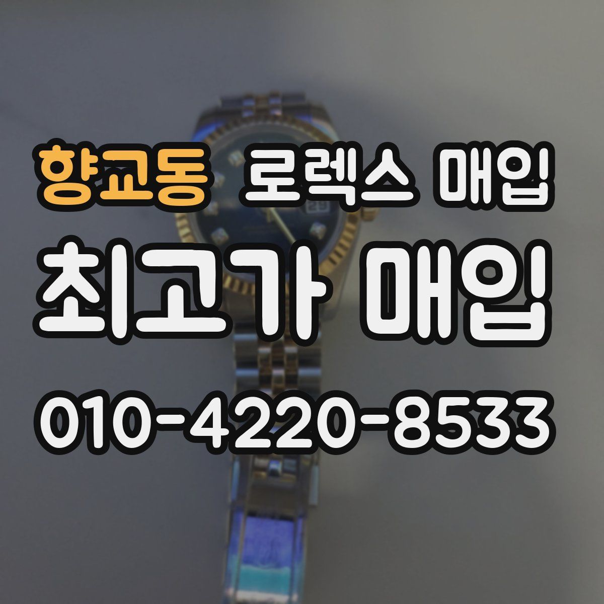 향교동 로렉스 매입