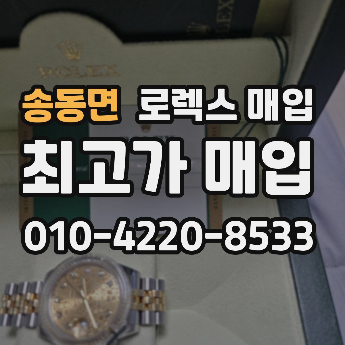 송동면 로렉스 매입