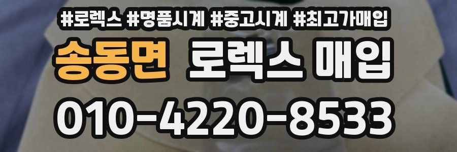 송동면 로렉스 매입