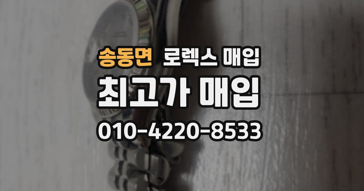 송동면 로렉스 매입