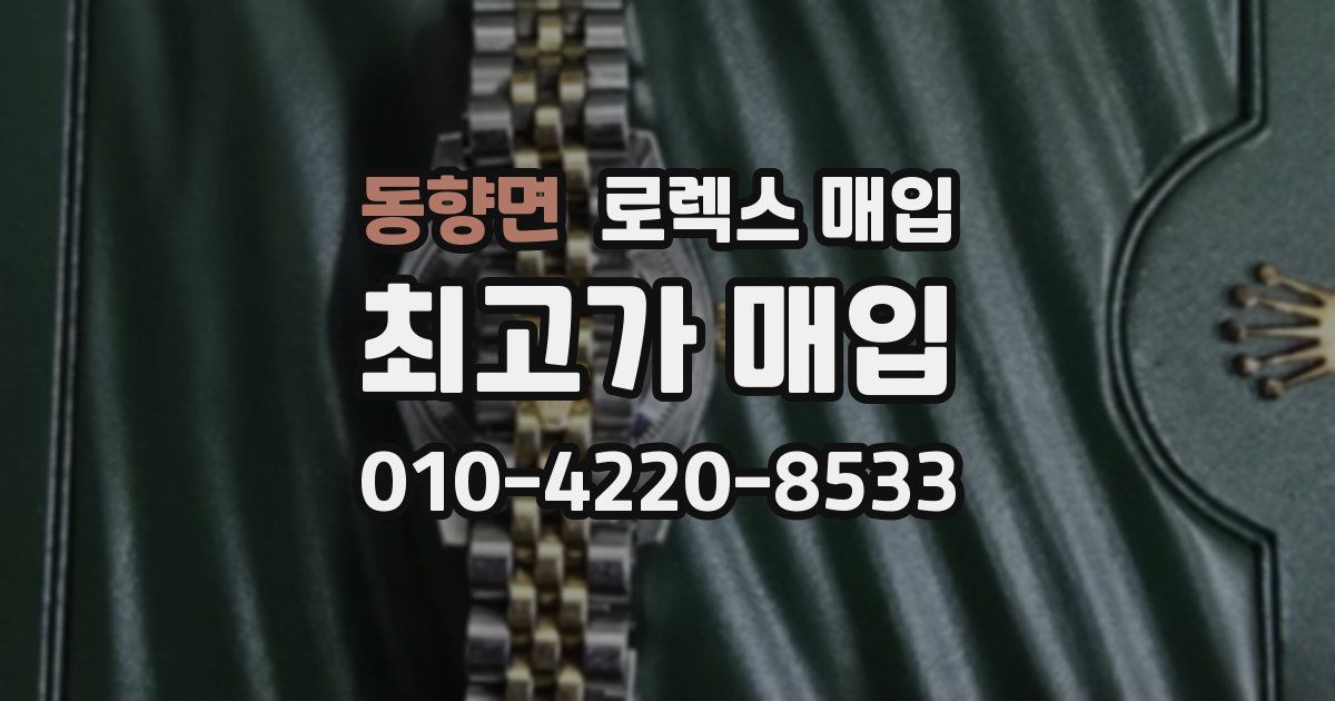 동향면 로렉스 매입