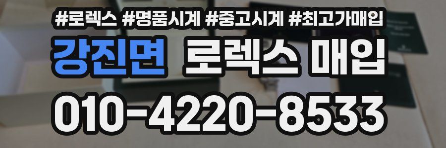 강진면 로렉스 매입