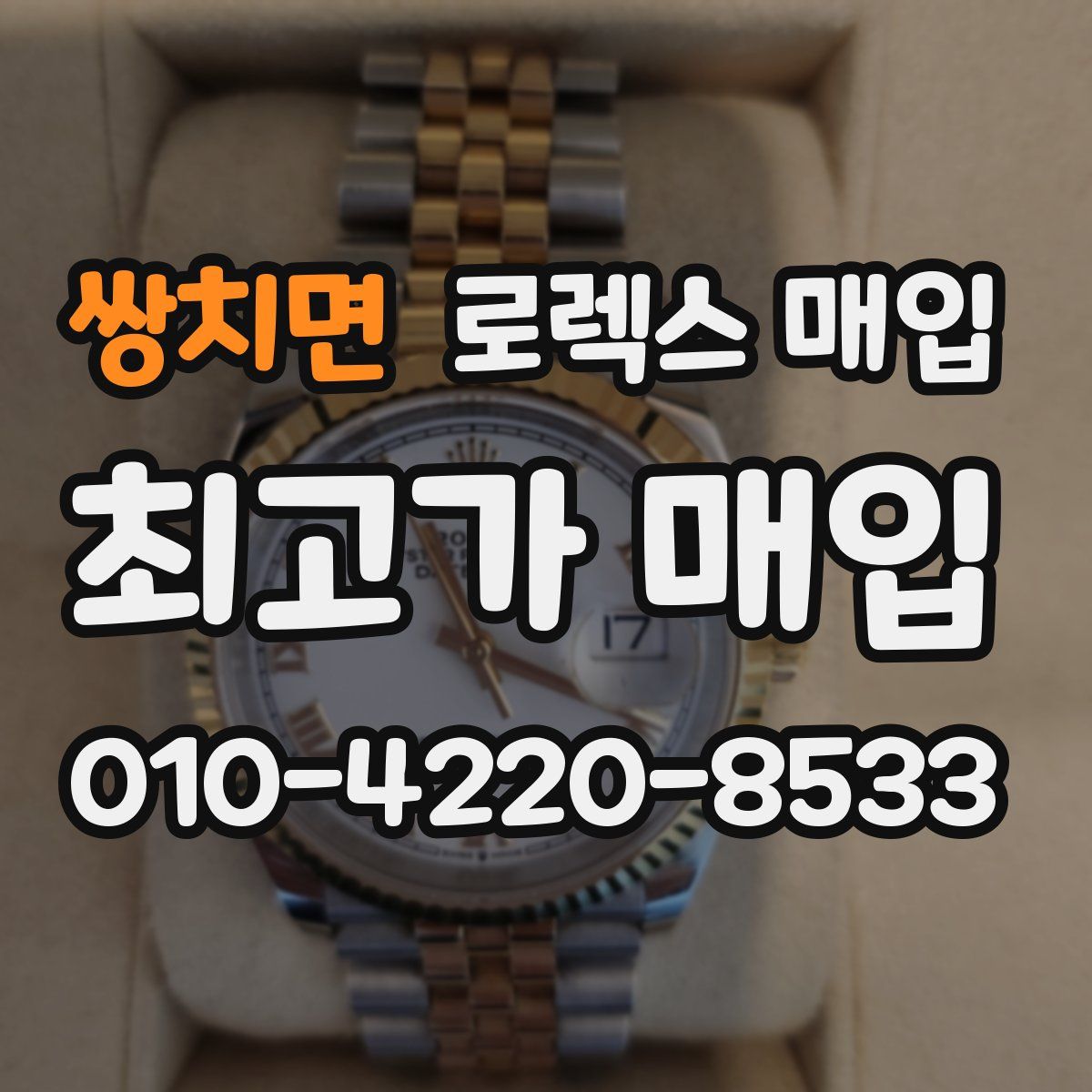 쌍치면 로렉스 매입