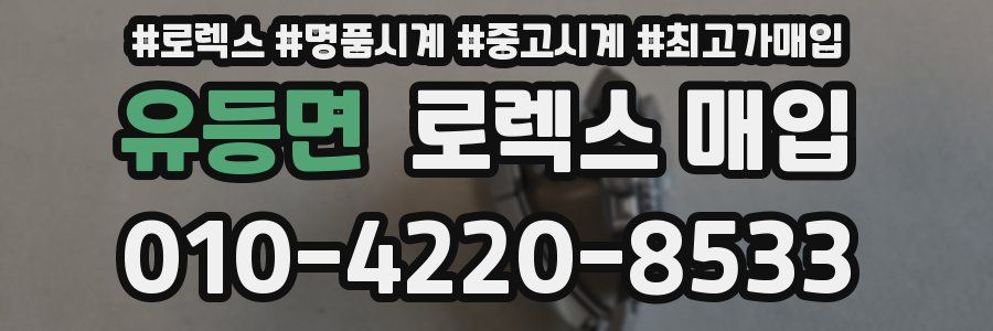 유등면 로렉스 매입