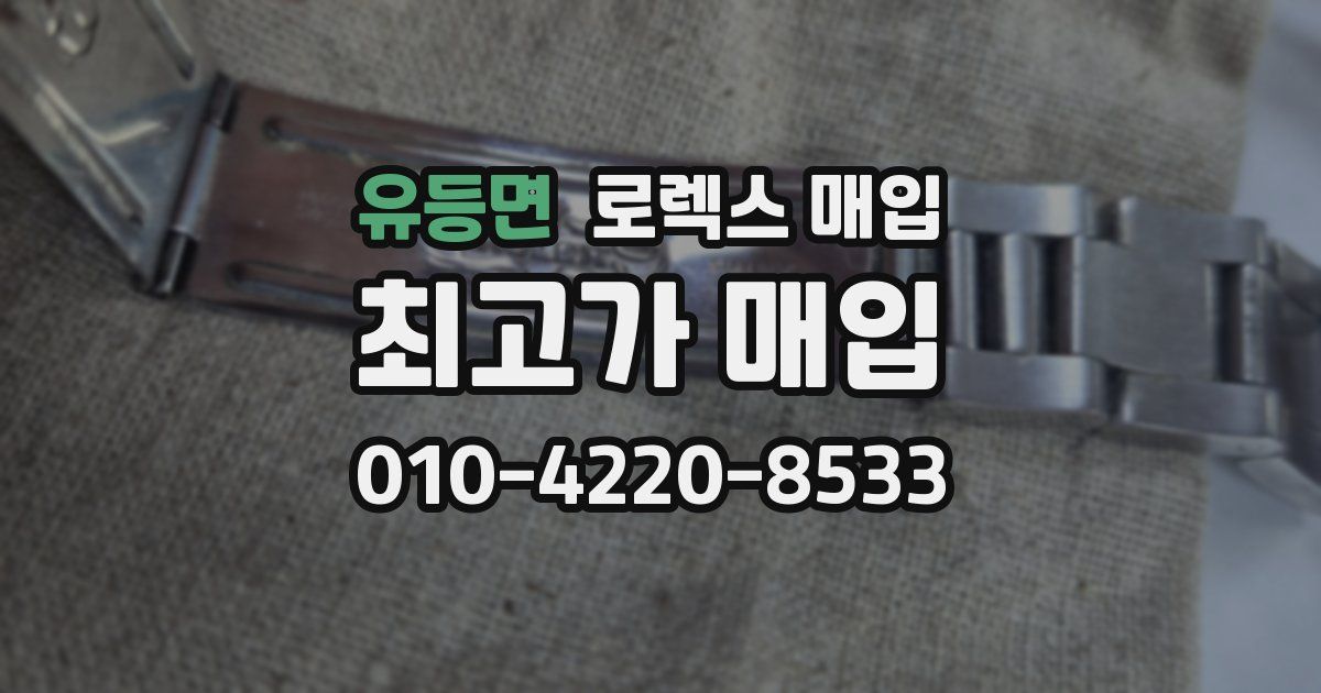 유등면 로렉스 매입