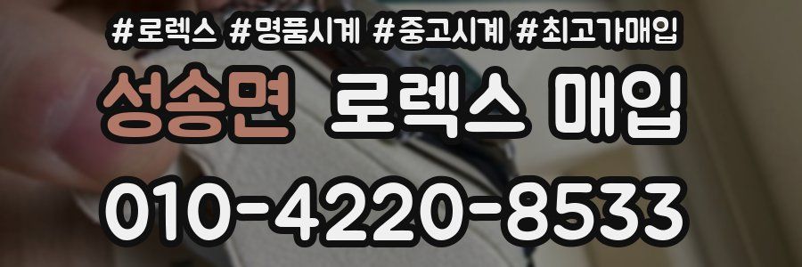 성송면 로렉스 매입