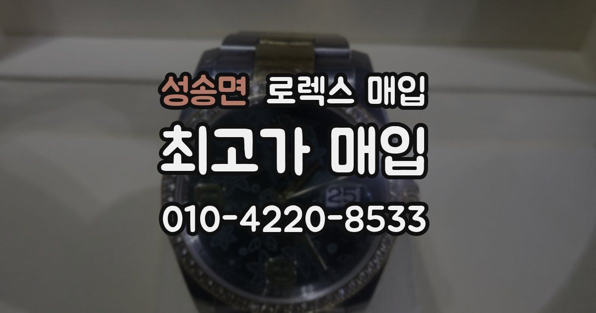 성송면 로렉스 매입