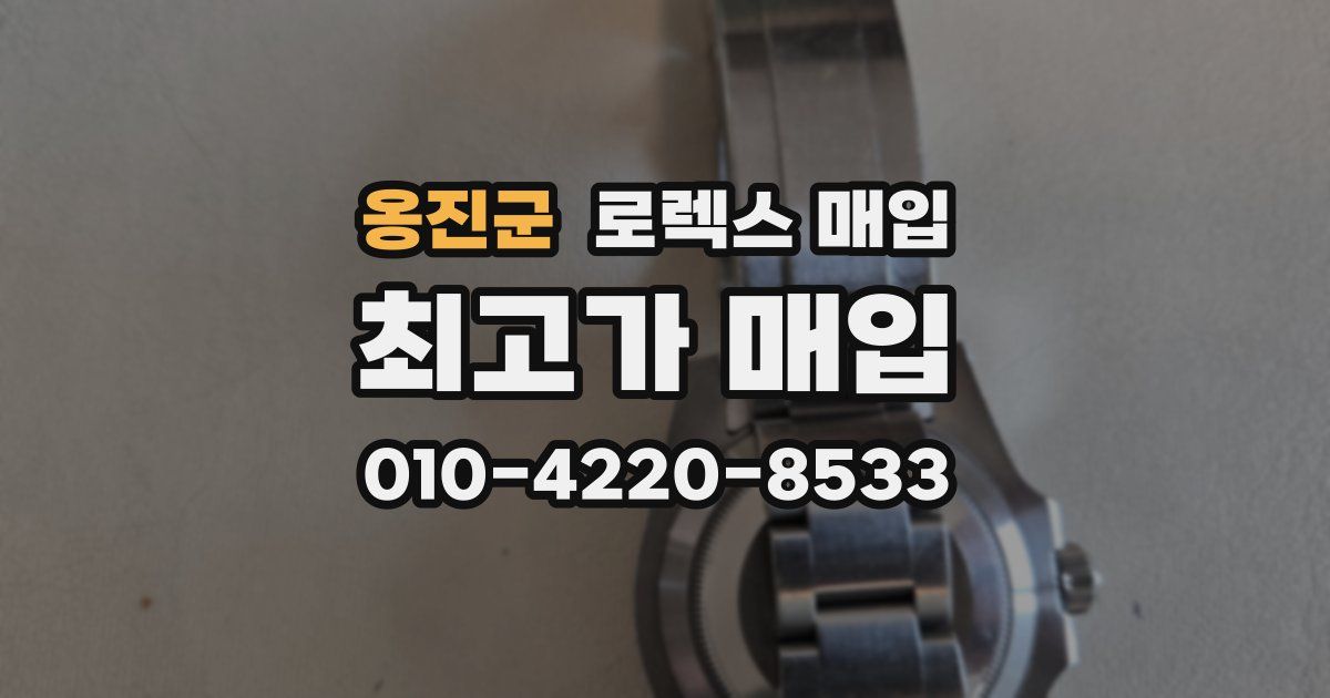 옹진군 로렉스 매입