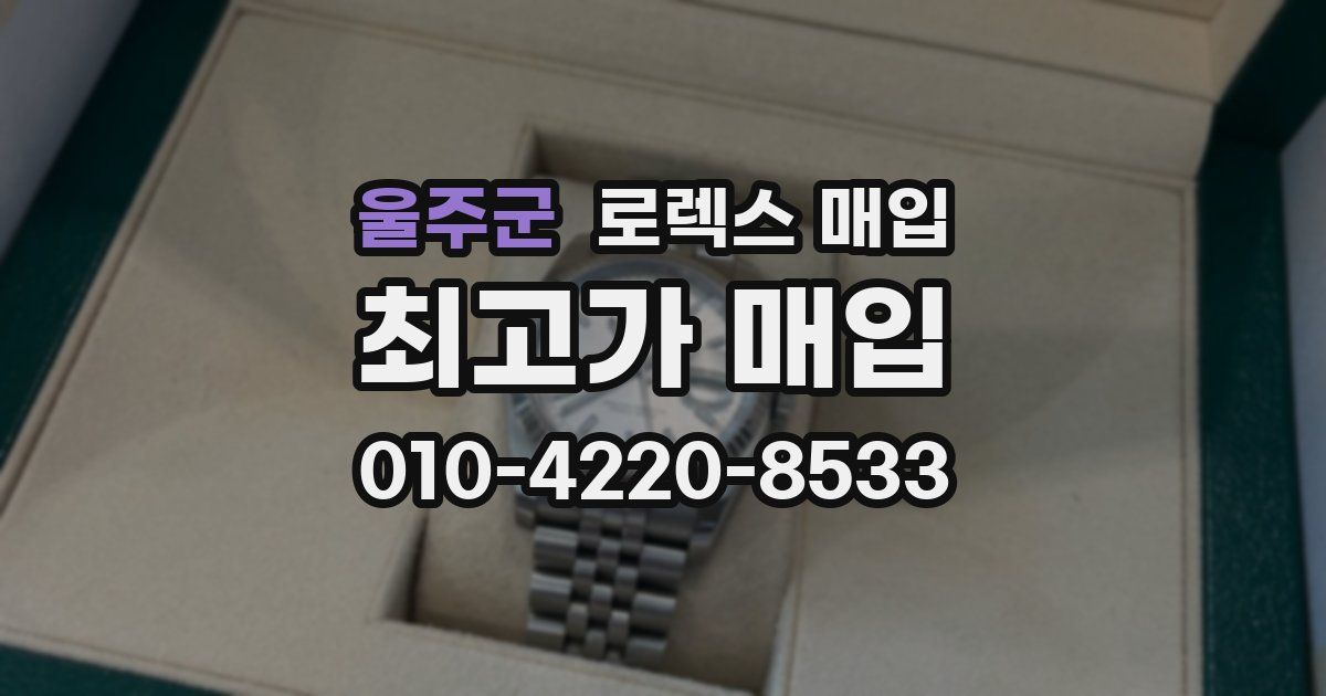 울주군 로렉스 매입