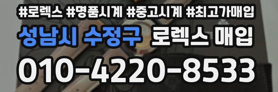 성남시 수정구 로렉스 매입