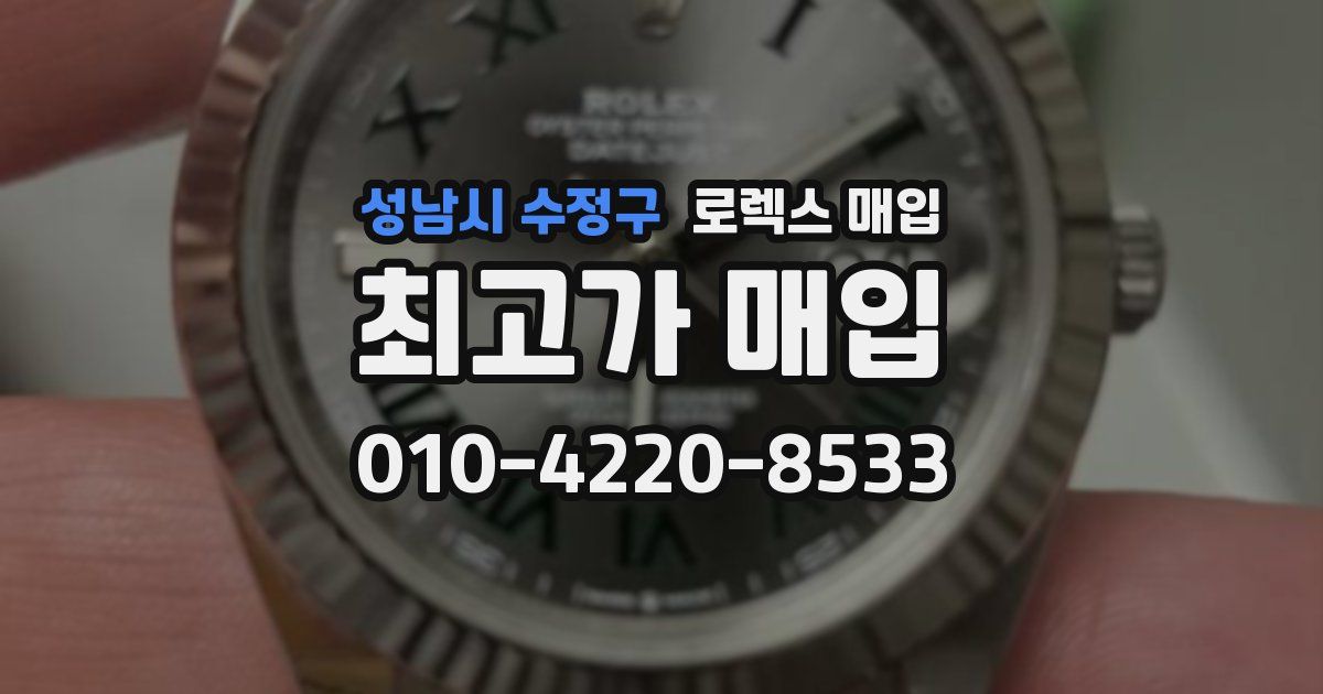 성남시 수정구 로렉스 매입