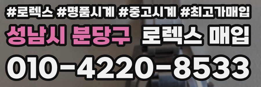 성남시 분당구 로렉스 매입